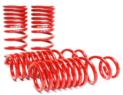 SKUNK2 LOWERING SPRINGS: CIVIC/CRX 88-91