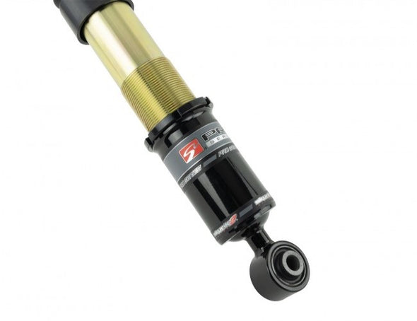 Skunk2 Pro ST Coilovers 06-11 Honda Civic Si